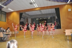 Faschingsball_in_Gochsheim_2012_070