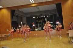 Faschingsball_in_Gochsheim_2012_073