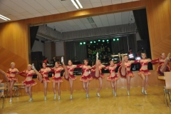 Faschingsball_in_Gochsheim_2012_075