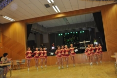 Faschingsball_in_Gochsheim_2012_077