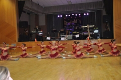 Faschingsball_in_Gochsheim_2012_081