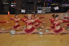 Faschingsball_in_Gochsheim_2012_082