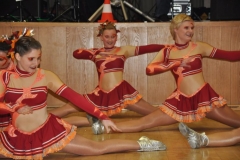Faschingsball_in_Gochsheim_2012_084