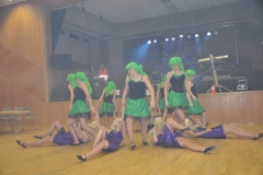 Faschingsball_in_Gochsheim_2012_195