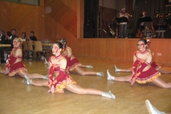 Faschingsball_in_Gochsheim_2013_005