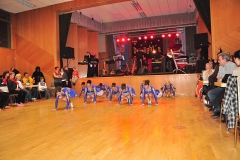 Faschingsball_in_Gochsheim_2011_12