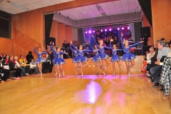 Faschingsball_in_Gochsheim_2011_14
