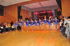 Faschingsball_in_Gochsheim_2011_15