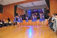 Faschingsball_in_Gochsheim_2011_16