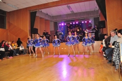 Faschingsball_in_Gochsheim_2011_17