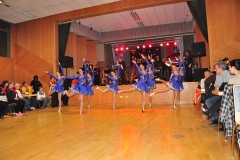 Faschingsball_in_Gochsheim_2011_19