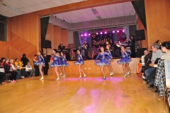 Faschingsball_in_Gochsheim_2011_20