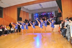 Faschingsball_in_Gochsheim_2011_21
