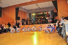 Faschingsball_in_Gochsheim_2011_22