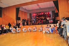 Faschingsball_in_Gochsheim_2011_23