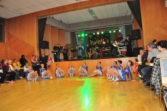 Faschingsball_in_Gochsheim_2011_24