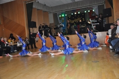 Faschingsball_in_Gochsheim_2011_29