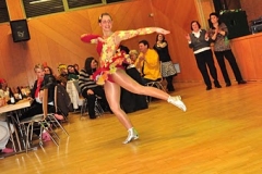 Faschingsball_in_Gochsheim_2011_36_Solo