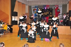 Faschingsball_in_Gochsheim_2011_48